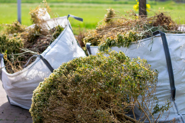 Best Dumpster Rental Services  in Wayne, OH